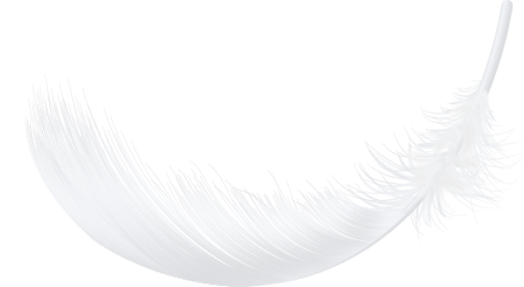 Feather icon