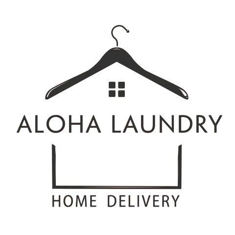 Laundry Logo